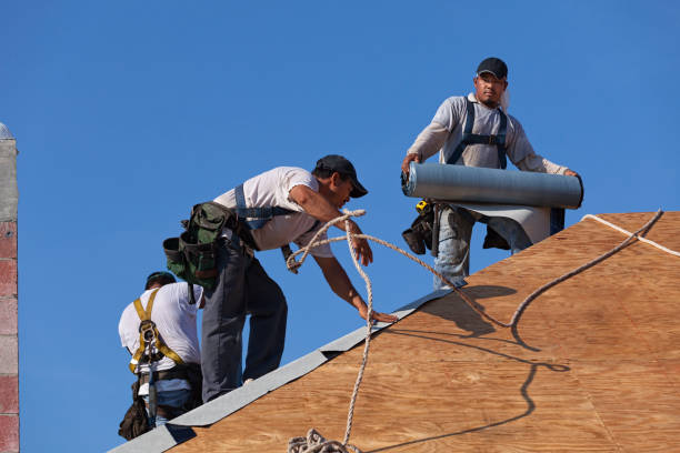 Best Storm Damage Roof Repair  in Laurel Hollow, NY